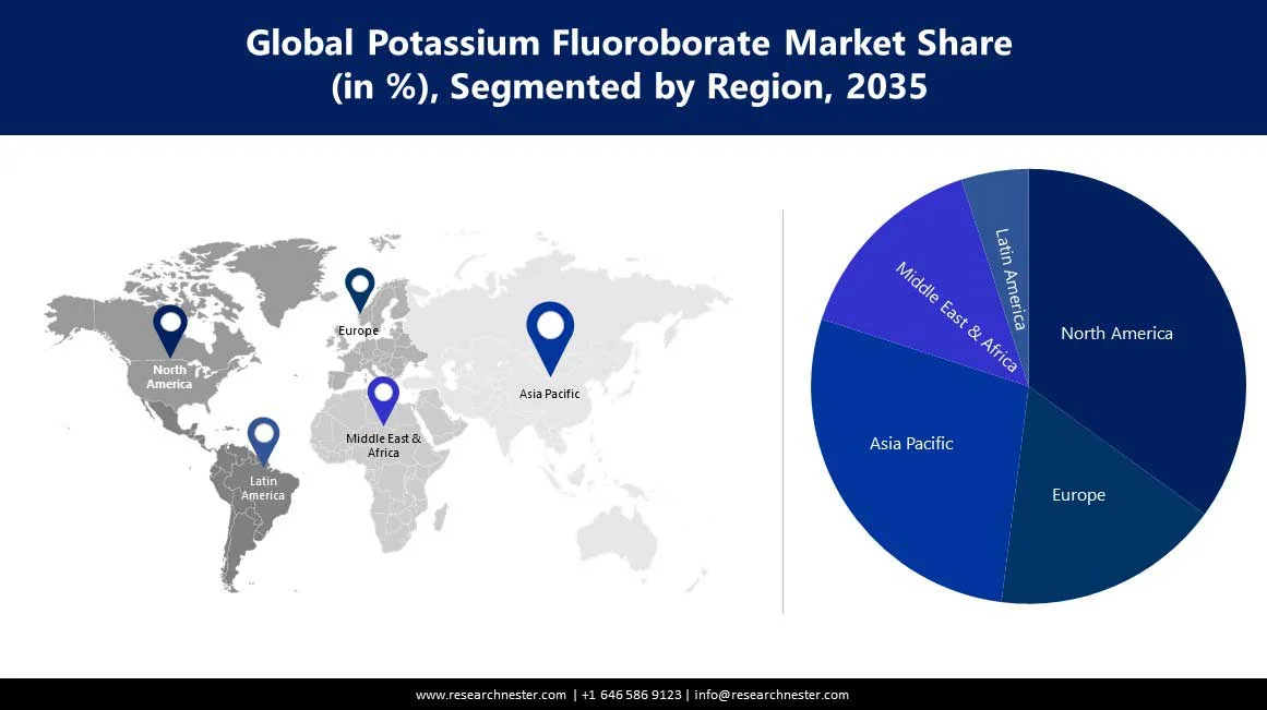 Potassium Fluoroborate Market Size